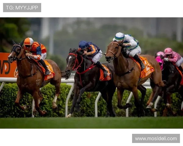 hkjc网娱乐：利用香港赛马会官网进行线上投注的详细步骤与注意事项