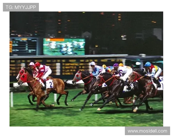 一赛马资讯帮助新手了解澳门赛马规则、投注流程及投注技巧