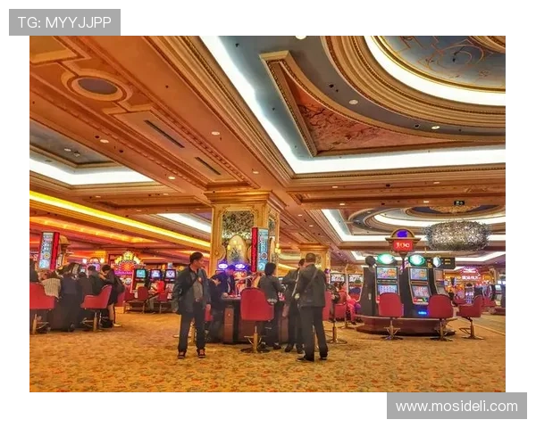 十六浦赌场热门游戏推荐满足不同玩家的娱乐偏好提升游戏体验