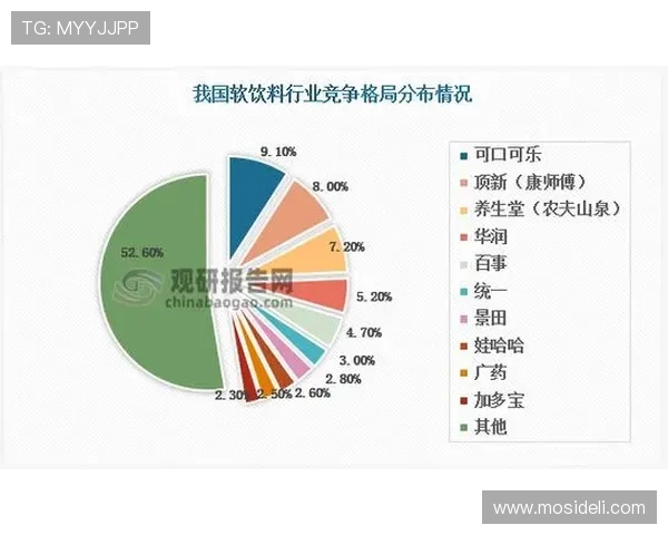 深入了解汇彩控股的企业背景、核心业务及市场竞争优势分析
