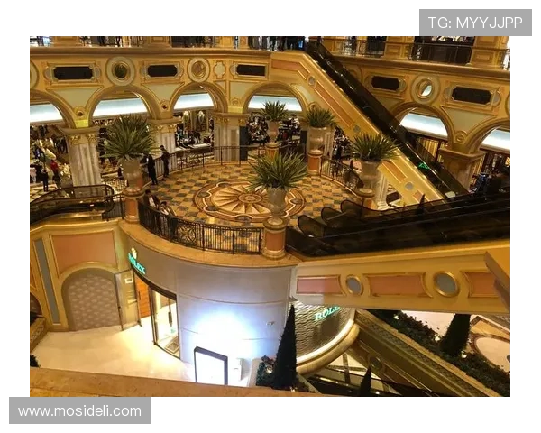 澳门六张赌牌的具体持有人名单及其背景信息全面披露