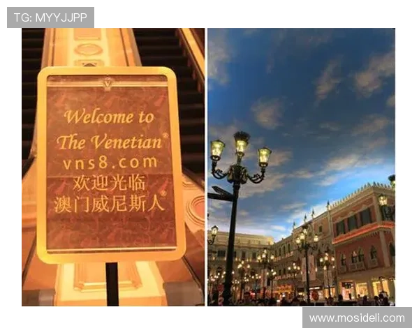 澳门欧博网址安全保障措施，确保玩家个人信息与资金安全的详细说明